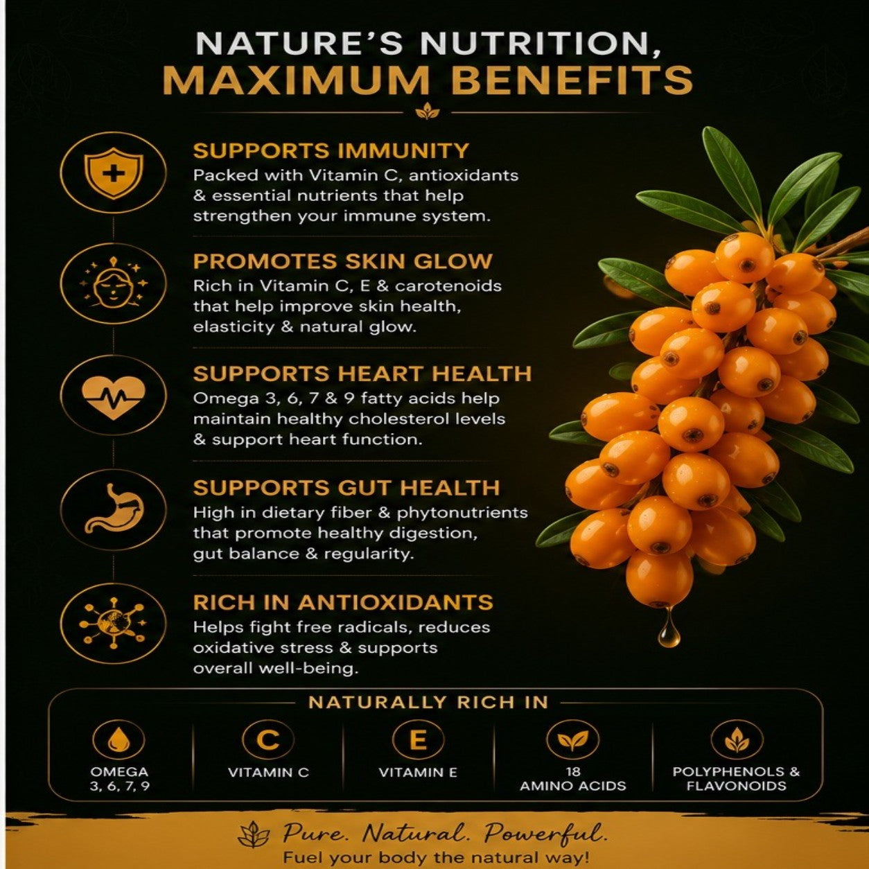 Stone Sea Buckthorn Powder